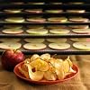Globalis-Superior-9-Pack-Super-Non-stick-Dupont-Teflon-Re-usable-Food-Dehydrator-Sheets-for-Excalibur-2500-2900-3500-3900-or-3926t-Sheet-Measures-14-X-14-Fits-Excalibur-5-and-9-Trays Globalis-Superior-9-Pack-Super-Non-stick-Dupont-Teflon-Re-usable-Food-Dehydrator-Sheets-for-Excalibur-2500-2900-3500-3900-or-3926t-Sheet-Measures-14-X-14-Fits-Excalibur-5-and-9-Trays