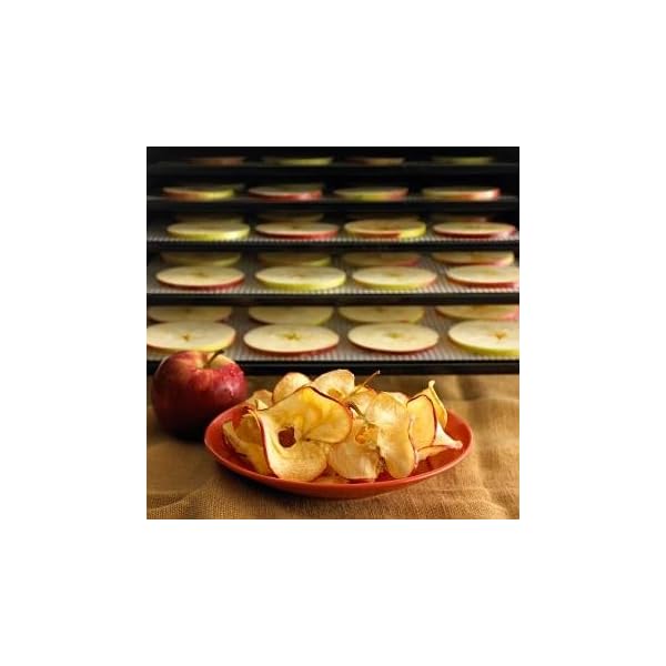 Globalis-Superior-9-Pack-Super-Non-stick-Dupont-Teflon-Re-usable-Food-Dehydrator-Sheets-for-Excalibur-2500-2900-3500-3900-or-3926t-Sheet-Measures-14-X-14-Fits-Excalibur-5-and-9-Trays Globalis-Superior-9-Pack-Super-Non-stick-Dupont-Teflon-Re-usable-Food-Dehydrator-Sheets-for-Excalibur-2500-2900-3500-3900-or-3926t-Sheet-Measures-14-X-14-Fits-Excalibur-5-and-9-Trays