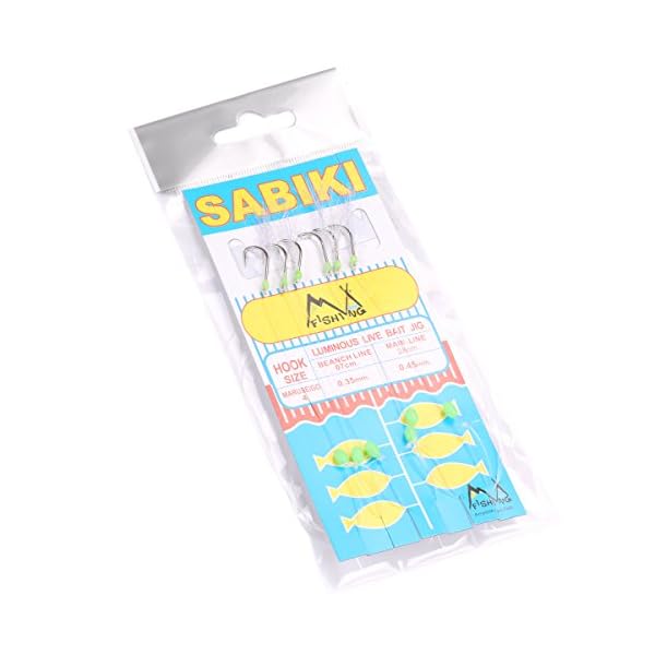 Mizugiwa-10-Packs-Freshwatersaltwater-Fishing-Sabiki-Bait-Rigs-Fish-Feather-4-Hooks
