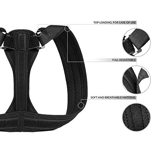 image for XIANGXIHUI Back Braces for Lower Back Pain for Women & Men - Adjustabl