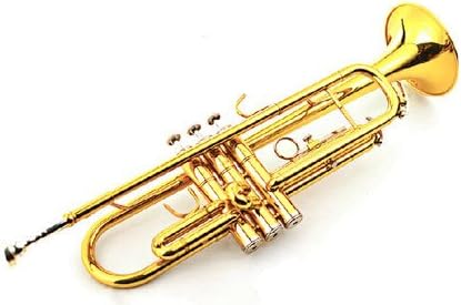 Gold Lacquered Bb Professional Trumpet