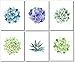 Succulent Wall Art Prints (Set of 6) - 8x10 - Unframed - Botanical Print - Cactus Decor