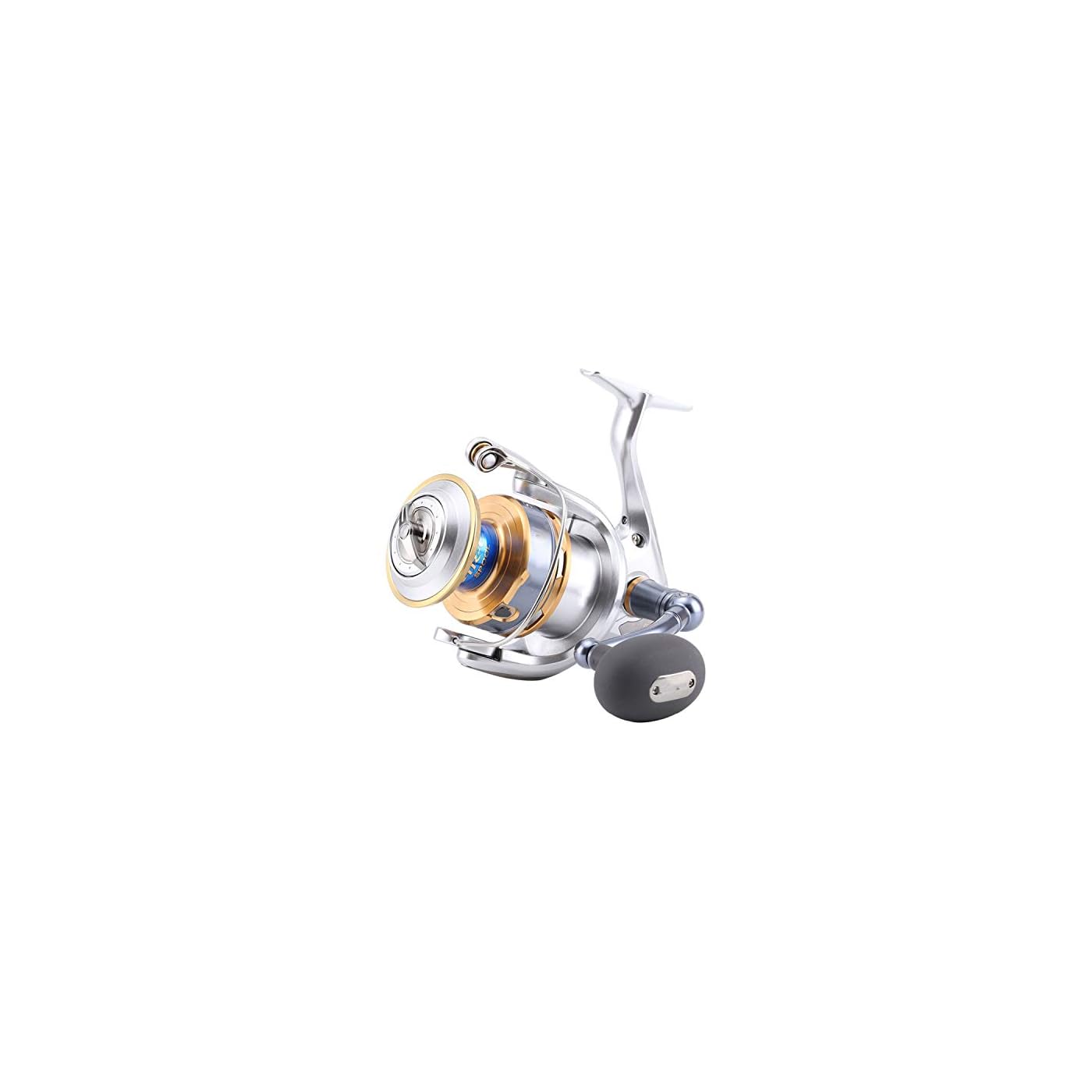 Test : moulinet Daiwa Saltist 6500, performance et polyvalence