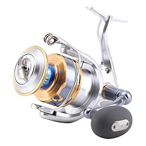 Na Original Sw 4000xg 5000xg 6000hg 8000pg 10000hg Moulinet De Pêche En Eau Salée
