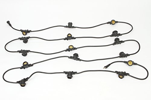 String Light Cord with 15-inch Socket Spacing and 16 Medium-Base Sockets (E26), 20 Foot, Black. Ideal for LED Grow Light Bulbs.