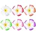 FRCOLOR 12 Pieces 3.5 Inch Hawaiian Plumeria Flower Hair Clips Foam Women Ladies Hair Accessories for Beach Party Wedding Event Decoration