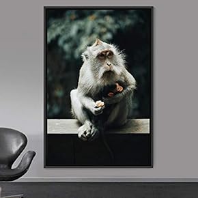 signwin Framed Canvas Wall Art Monkey Animals Expressive...