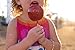 Perfect Stix Wooden Semi Pointed Candy Apple / Corn Dog Sticks 5.5