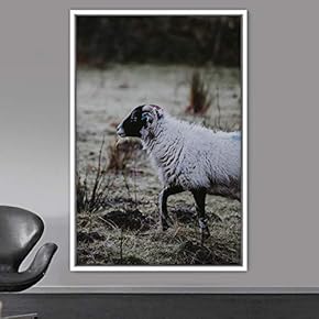 signwin Framed Canvas Wall Art Sheep Animals Expressive...