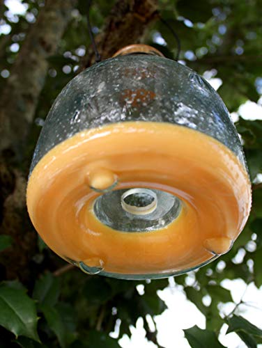 Darware Glass Wasp Traps (2-Pack); Wasp Catchers for Garden and Home Use - Thumbnail 4