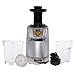 Fruitstar (Fs-610-b) Vertical Slow Masticating Juicer for Fruits and Greens