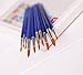Ishua 12pcs Nylon Hair Watercolor Oil Painting Brush Set Artist Paintbrush with Blue Plastic Handle