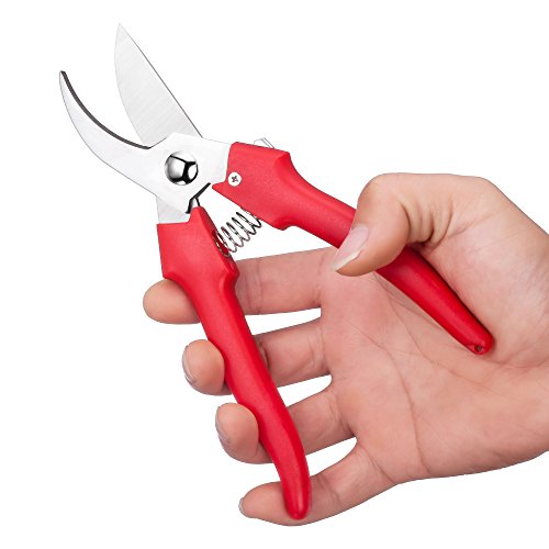 Ebaco Professional Sharp Bypass Pruning Shears, Tree Trimmers Gardening Scissors,Hand Pruner, Garden Shears,Clippers For The Garden. … (Pruning Shears)