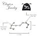 Clayton Online Sales COS (TM) Zodiac Constellation Sign Symbol Pendant Necklace (Scorpio Silver)