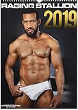 Raging Stallion 2019 (Calendars 2019) by