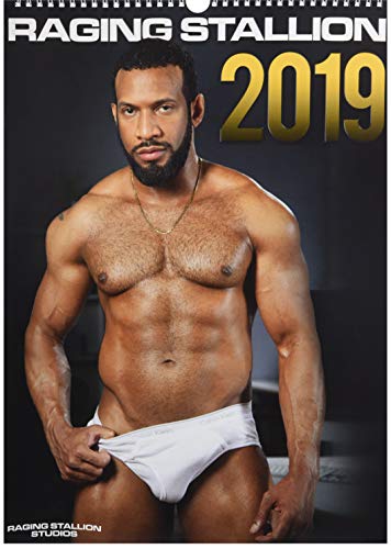 Raging Stallion 2019 (Calendars 2019) by