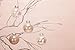AMS 24ct Clear Christmas Ball Ornaments, 2.76''/70mm Shatterproof Hanging Xmas Balls Baubles Set for Christmas Tree with Stuffed Delicate Decorations for Wedding Christmas (Champagne)