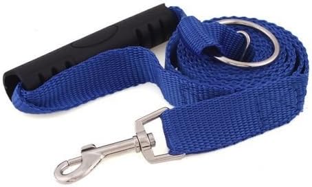 Dog Leash - Blue - Excellent for Training, Walking, Hiking - Heavy Duty Strap, Handle, Rope, Harness Lead Strap - Pet Collar, Adjustable, No-Slip - 6 ft