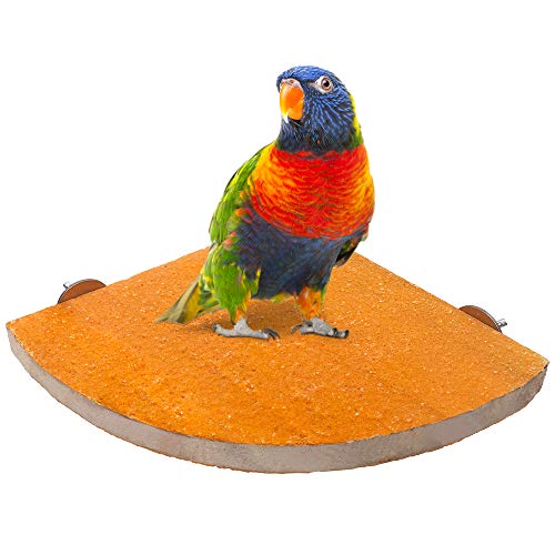 LiMio Bird Perch Wood Stand Platform Parrot Toys, Rough Surface Perch Parakeet Toys, for Budgies Parakeet Conure Hamster Gerbil Rat Mouse (Random Color)…