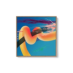 Framed Canvas Wall Art for Living Room, Bedroom Abstract Canvas Prints for Modern Home Decoration Ready to Hang - 16"x16" inches