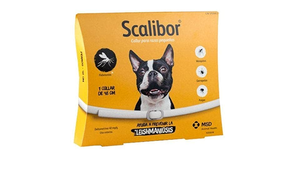 scalibor collar best price