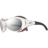 Julbo Explorer Sunglasses