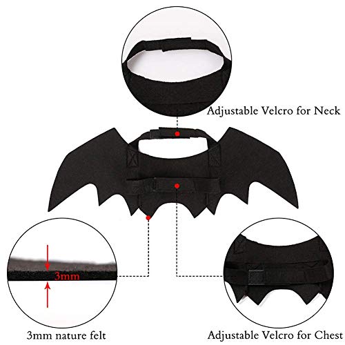 Bat Mask & Cape Costume For Cats - Halloween Pet Costume With Red & Black Cape