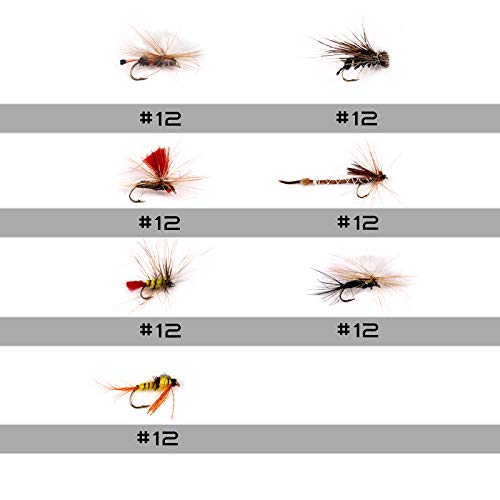image for M MAXIMUMCATCH Maxcatch Fly Fishing Flies Kit Fly Assortment Dry/Wet F