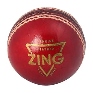 Tauro Zing Red Cricket Leather Ball 4 Piece