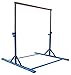 Z-Athletic Gymnastics Expandable Kip Bar