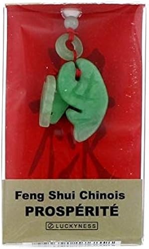 Download Porte-bonheur feng-shui jade prosperite PDF
