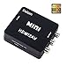 DAISEN HDMI to AV Converter 1080p HDMI to RCA CVBS AV Composite Adapter HDMI 2 AV Converter support PAL/NTSC TV format output (HDMI to AV+Black)