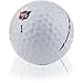 Wilson Staff True Distance Soft Golf Balls - 2 Dozen