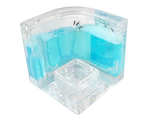 BleuMoo Advanced Ant Nursery Farm Maze Blue Gel Live Ant Habitat With Feeding