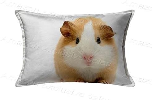 POPULARE Guinea Pig Pillow Protector Chair Seat Back Office Pillow Cushion Cover Cotton Polyester Pillow Case Decorative Pillowcase Standard Pillow Sham 20 X 36Inch(Twin Sides)