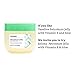 Amazon Brand - Solimo Petroleum Jelly with Vitamin E & Aloe, 13 Ounce (Pack of 12)