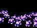 IREALIST 50 LED Lights Solar Powered Blossom Flower Garden String Fairy Lights with LED Waterproof Lights for Outdoor and Indoor Decoration (Purple)
