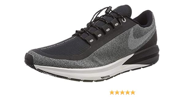 nike air zoom pegasus 22