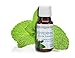 Pureguardian SPAES30P Peppermint Aroma Essence Oil, 30 Ml