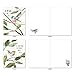The Best Card Company - 20 Blank Notes with Envelopes - All Occasion Animal Assortment (10 Designs, 2 Each) - Scripture Birds AM7108OCB-B2x10-NB