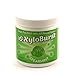 Xyloburst Spearmint Gum 100 Count Jar (5.29oz) 2-Pack