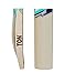 SS TON Power Plus Kashmir Willow Cricket Bat