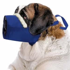 4 flags over aspen small dog muzzle