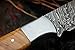 DKC Knives (20 5/18) DKC-511 Trail Blazer Fixed Blade Damascus Steel Hunting Knife Olive Wood Burl Handle 9