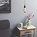Wallniture Pendant Lamp Cord Set with On Off Switch 15 Feet Black
