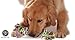 Set of Four Interactive Cotton Rope Dog Toys - For Chewing and Playing