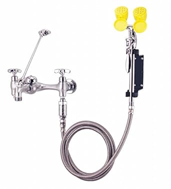 Combo Faucet And Eyewash Station Ceramic Plumbing Hoses Amazon