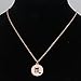 KUIYAI Zodiac Pendant Necklace Rose Gold Disc Horoscope Necklace Birthday Gift (Scorpio RG)