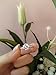 SPILOVE Serend 18k White Gold Plated 1.5ct Heart and Arrows Cut Cubic Zirconia Solitaire Wedding Engagement Rings, Size 7