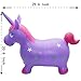 XKX Very Popular Baby Riding Toys,Jumping Horse Jia Jia Jia!Includes foot inflating pump (Purple, Unicorn)